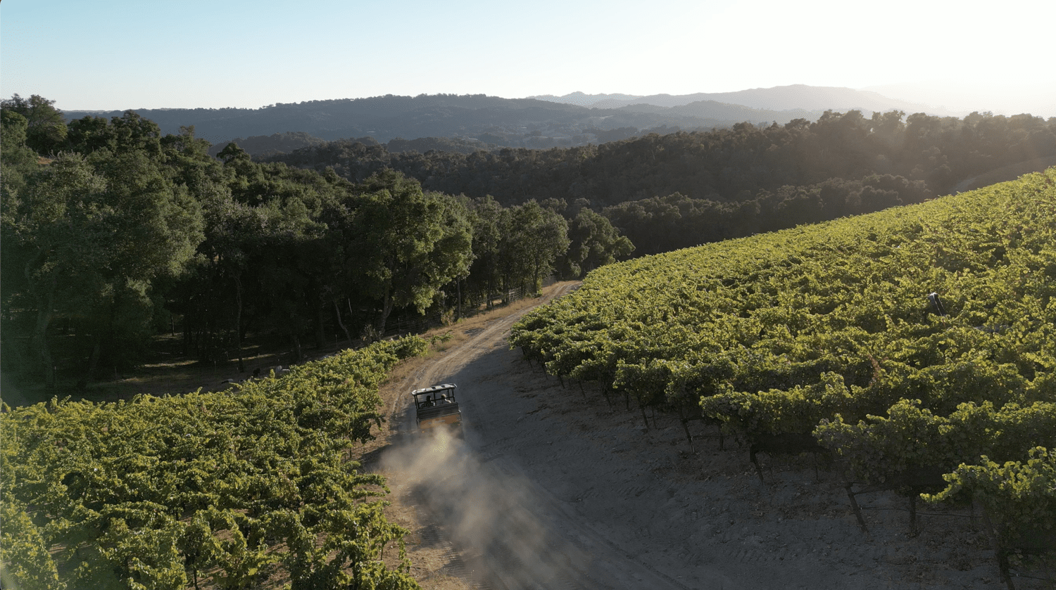 Guided vineyard tour at Hawks Hill Ranch